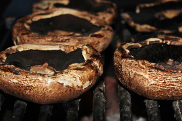 Delicious grilled portabella mushrooms